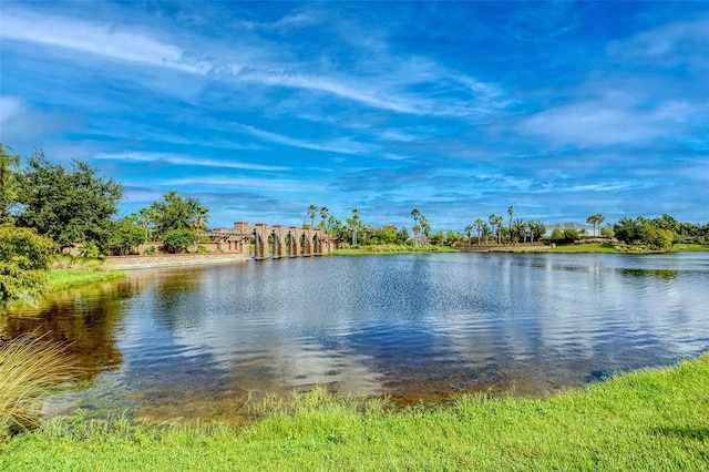 11427 Viani Ter, Palmetto, FL 34221 - water view