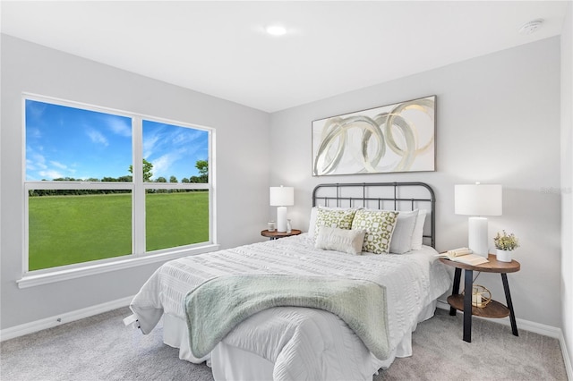 10539 Kidron Ave, Englewood, FL 34224 - carpeted bedroom with baseboards