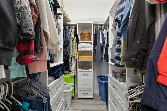 318 39th St NE, Bradenton, FL 34208 - spacious closet with light wood-type flooring