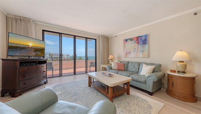 1465 Gulf Of Mexico Dr Unit 502, Longboat Key, FL 34228 - living area with light wood-style flooring, crown molding, and a textured ceiling