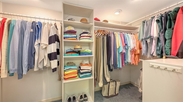 1465 Gulf Of Mexico Dr Unit 502, Longboat Key, FL 34228 - walk in closet featuring carpet flooring