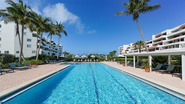 1465 Gulf Of Mexico Dr Unit 502, Longboat Key, FL 34228 - community pool with a patio