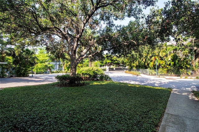 3745 Almeria Ave Unit 7S, Sarasota, FL 34239 - view of yard