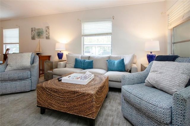 3745 Almeria Ave Unit 7S, Sarasota, FL 34239 - living room with plenty of natural light