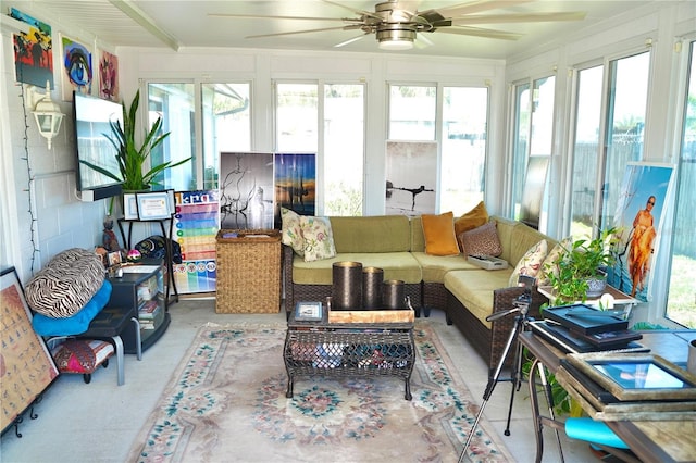 6704 Rosemary Dr, Tampa, FL 33625 - view of sunroom