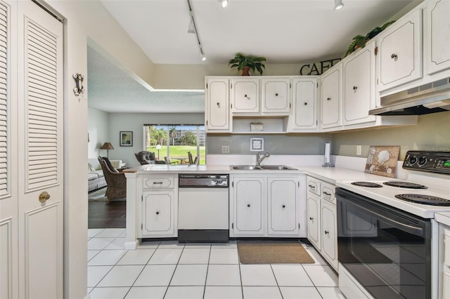 3820 Ironwood Ln Unit 104-I, Bradenton, FL 34209 - kitchen featuring electric range oven, white dishwasher, a sink, under cabinet range hood, and track lighting