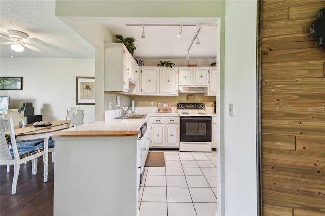 3820 Ironwood Ln Unit 104-I, Bradenton, FL 34209 - kitchen featuring electric range, under cabinet range hood, track lighting, a sink, and white cabinetry