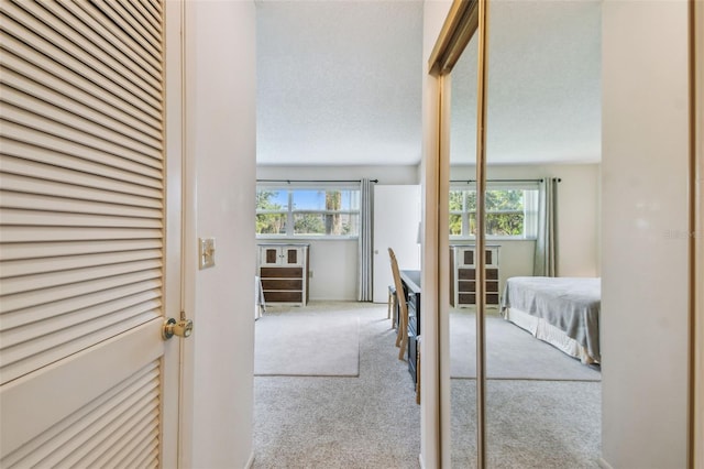3820 Ironwood Ln Unit 104-I, Bradenton, FL 34209 - hallway featuring carpet and healthy amount of natural light