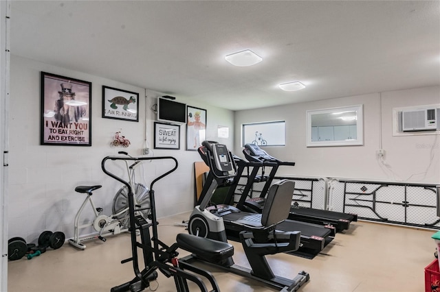 3820 Ironwood Ln Unit 104-I, Bradenton, FL 34209 - workout area with a wall unit AC