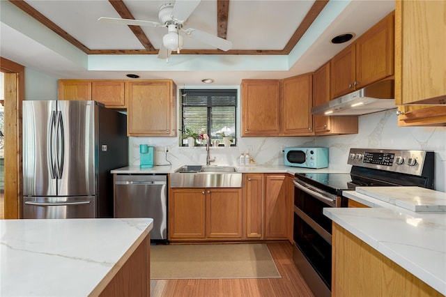 7251 Fish Farm Rd, Palmetto, FL 34221 - kitchen with under cabinet range hood, appliances with stainless steel finishes, a sink, a raised ceiling, and light wood-style floors