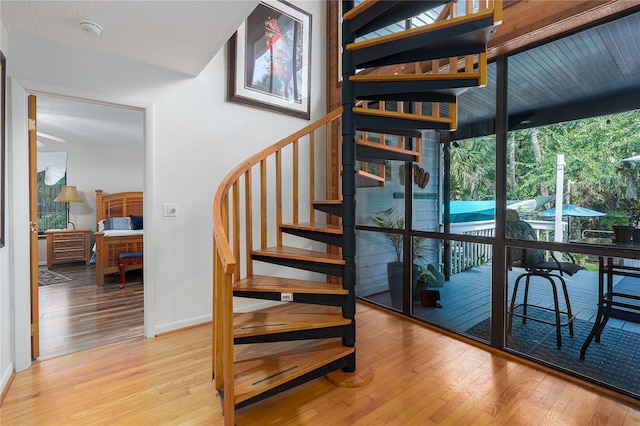 7251 Fish Farm Rd, Palmetto, FL 34221 - stairs with hardwood / wood-style floors and baseboards