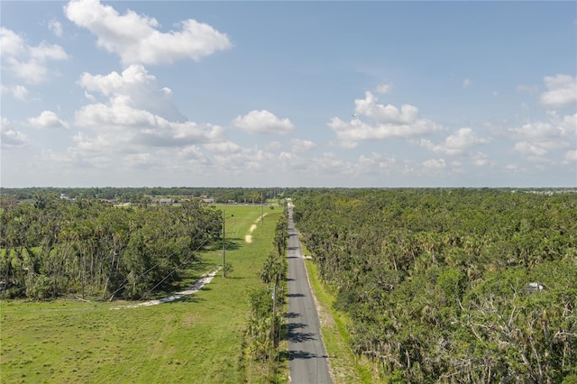 7251 Fish Farm Rd, Palmetto, FL 34221 - aerial view of sparsely populated area featuring a forest