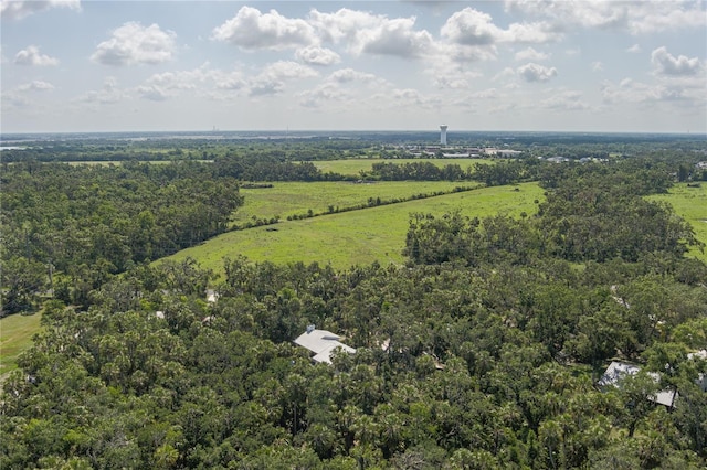 7251 Fish Farm Rd, Palmetto, FL 34221 - aerial view of a heavily wooded area