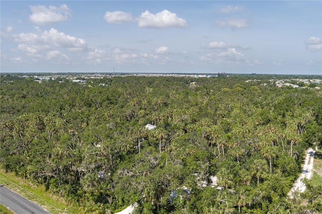 7251 Fish Farm Rd, Palmetto, FL 34221 - bird's eye view of a forest