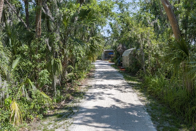7251 Fish Farm Rd, Palmetto, FL 34221 - view of dirt / gravel driveway