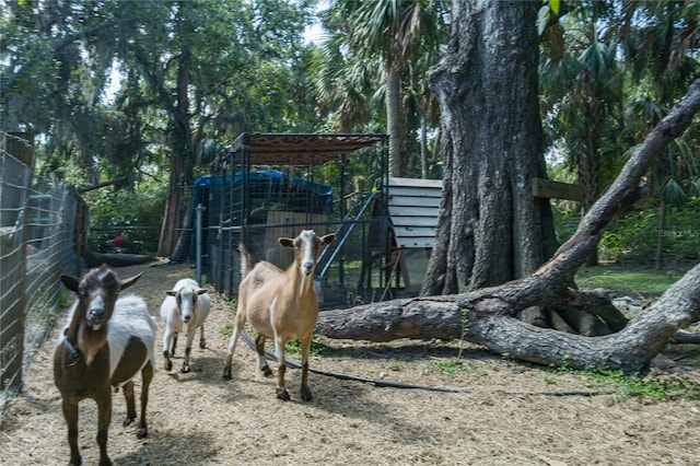 7251 Fish Farm Rd, Palmetto, FL 34221 - view of yard featuring an outdoor structure