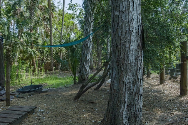 7251 Fish Farm Rd, Palmetto, FL 34221 - view of nature