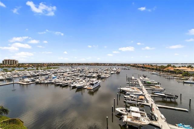 610 Riviera Dunes Way Unit 503, Palmetto, FL 34221 - water view with numerous boat docks and a dock