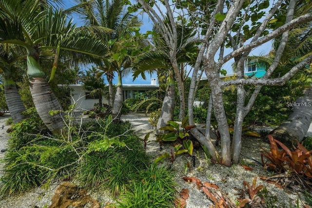 102 77th St, Holmes Beach, FL 34217 - view of nature