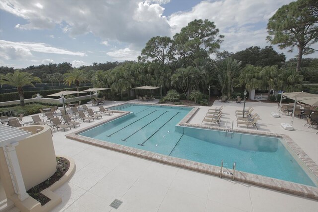 401 N Point Rd Unit 504, Osprey, FL 34229 - community pool with a patio area and view of wooded area