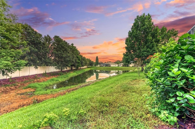 12175 Maple Ridge Dr, Parrish, FL 34219 - view of yard