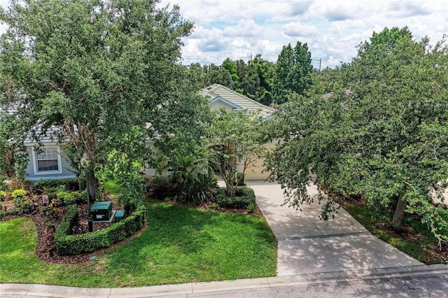 12175 Maple Ridge Dr, Parrish, FL 34219 - obstructed view of property with driveway and a front lawn