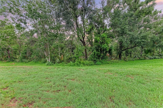12175 Maple Ridge Dr, Parrish, FL 34219 - view of grassy yard