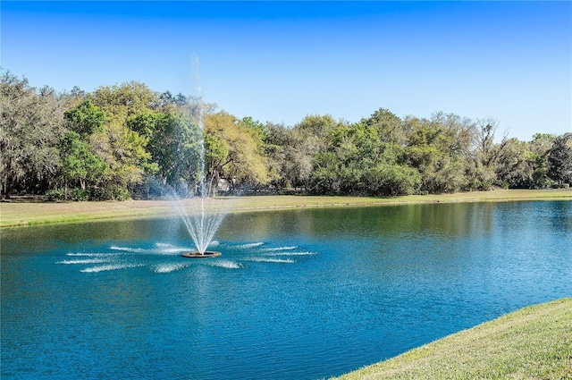 12175 Maple Ridge Dr, Parrish, FL 34219 - water view featuring a forest