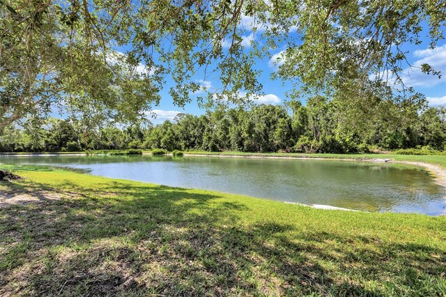 15006 21st Ave E, Bradenton, FL 34212 - water view featuring a heavily wooded area