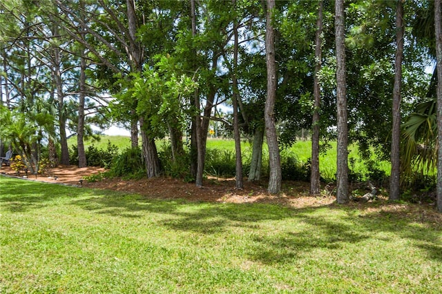 4811 69th Ct E, Palmetto, FL 34221 - view of green lawn