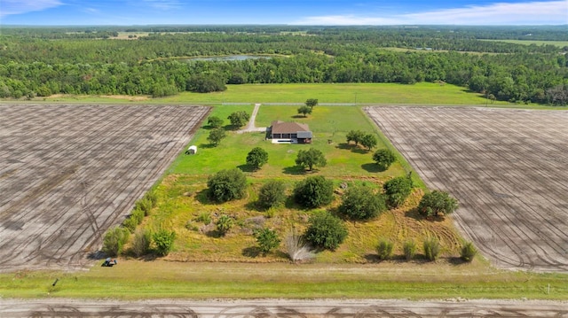 2350 Virgil Hall Rd, Lithia, FL 33547 - overview of rural landscape with a heavily wooded area