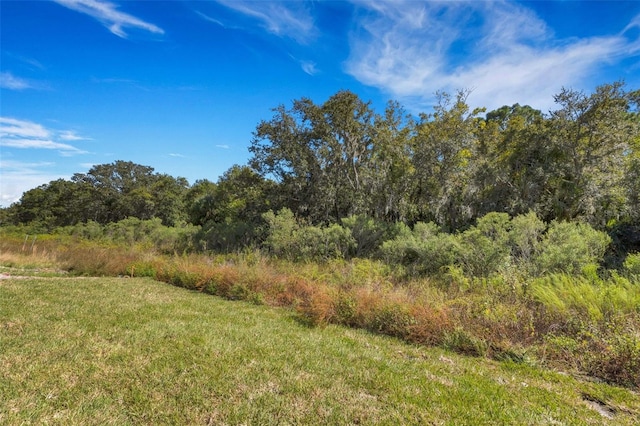 5213 Patano Loop, Palmetto, FL 34221 - view of yard featuring a wooded view