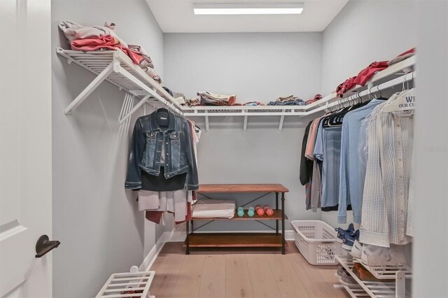 8020 Clearwater Ct, Sarasota, FL 34241 - walk in closet featuring wood finished floors