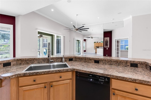 135 Tall Trees Ct, Sarasota, FL 34232 - kitchen featuring dishwasher, a sink, a ceiling fan, crown molding, and dark countertops