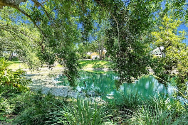 135 Tall Trees Ct, Sarasota, FL 34232 - view of undeveloped land with a large body of water
