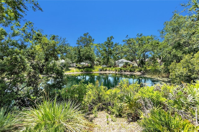 135 Tall Trees Ct, Sarasota, FL 34232 - water view
