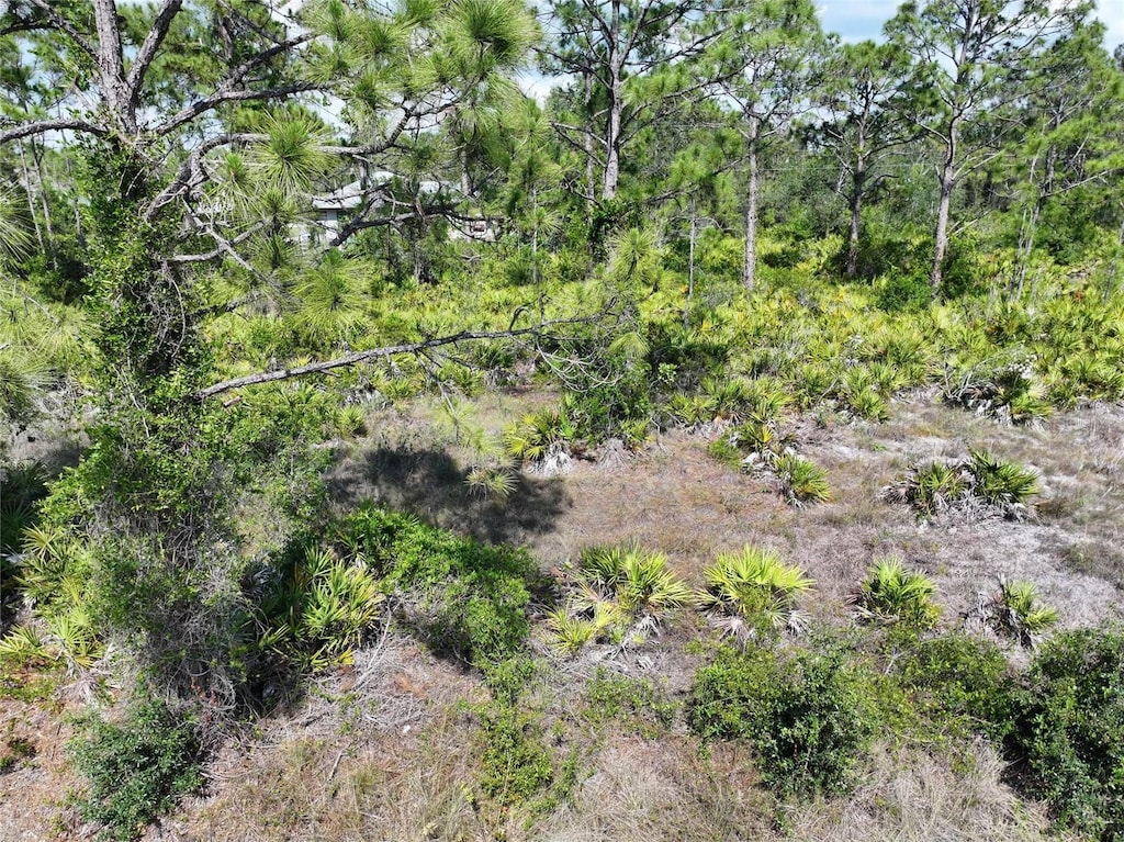12222 Cartouche Ave, Punta Gorda, FL 33955 - photo 2