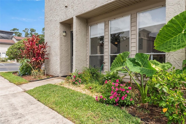 4475 Sandner Dr, Sarasota, FL 34243 - property entrance featuring stucco siding