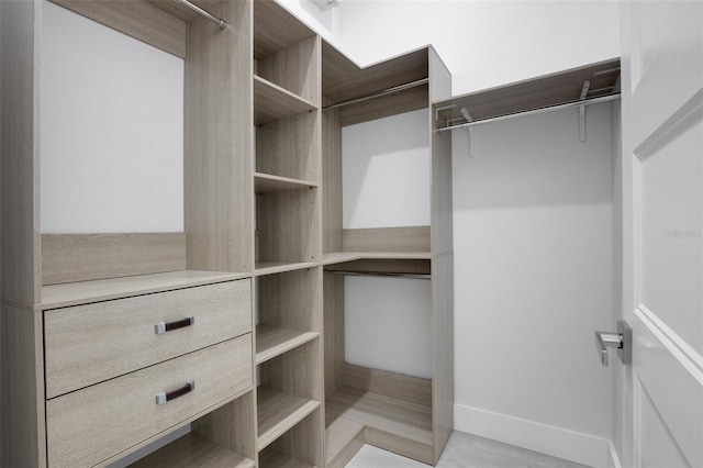 805 Padua Ct, Nokomis, FL 34275 - view of spacious closet