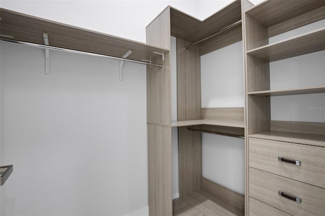 805 Padua Ct, Nokomis, FL 34275 - view of spacious closet