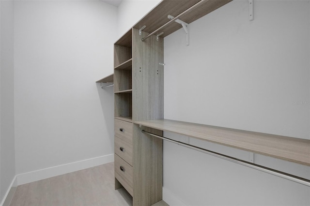 805 Padua Ct, Nokomis, FL 34275 - walk in closet with light wood finished floors