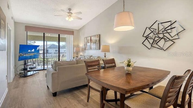 4325 46th Ave W Unit 203, Bradenton, FL 34210 - dining room with wood finished floors, ceiling fan, expansive windows, and lofted ceiling