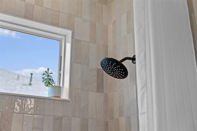 4407 Big Woods Way, Parrish, FL 34219 - bathroom view of a tile shower