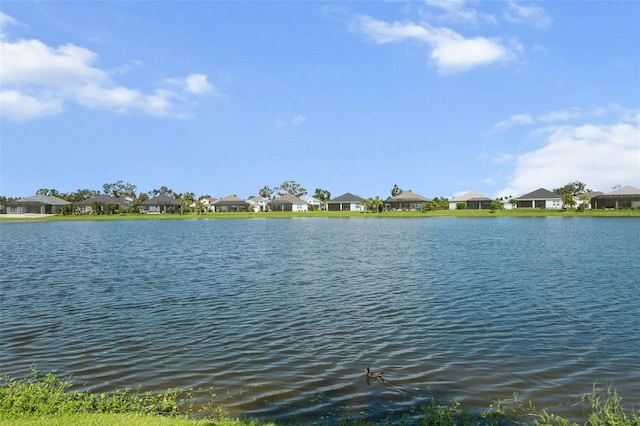 4407 Big Woods Way, Parrish, FL 34219 - water view with nearby suburban area