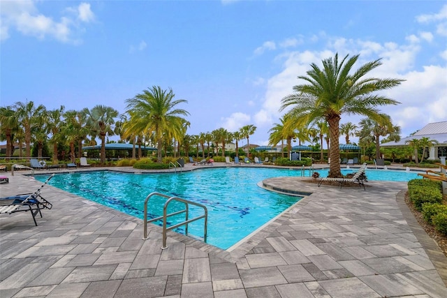 4407 Big Woods Way, Parrish, FL 34219 - community pool with a patio