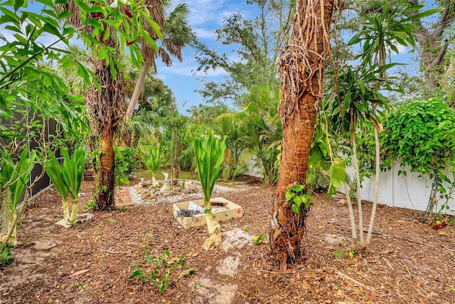 4322 Concert St, Port Charlotte, FL 33948 - view of yard