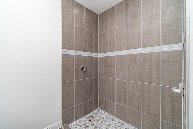 1229 Zinnia Loop, Labelle, FL 33935 - bathroom featuring a tile shower