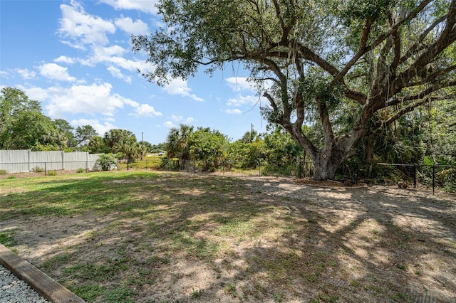 1229 Zinnia Loop, Labelle, FL 33935 - view of yard