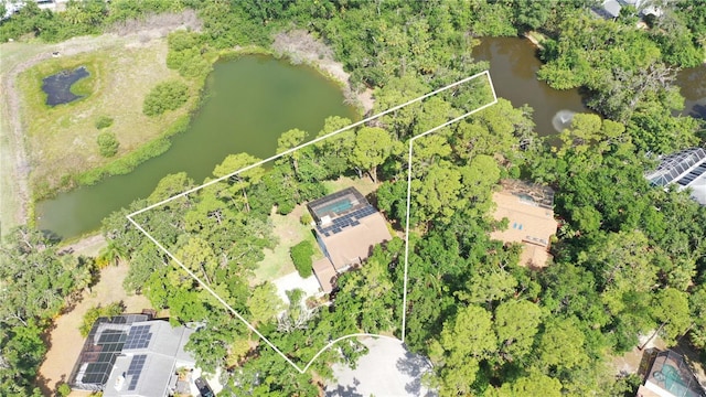 4917 Leatha Ln, Sarasota, FL 34232 - aerial view of property's location with a large body of water and property boundaries highlighted