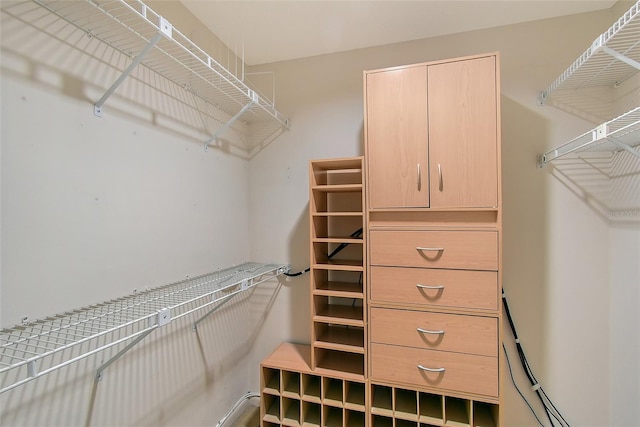4917 Leatha Ln, Sarasota, FL 34232 - view of walk in closet